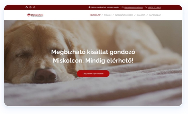 DomiDog Kutyapanzió